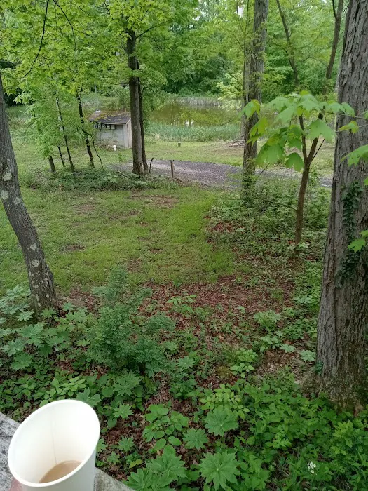 Lost Mountain Campground Picture 2