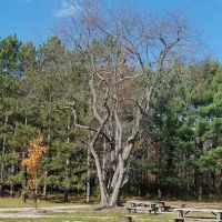 Lost Mountain Campground ico