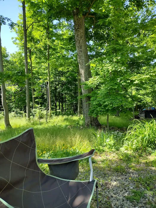 Lost Mountain Campground Picture 7