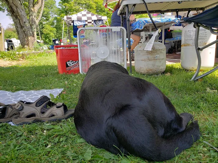 Lost Mountain Campground Picture 3