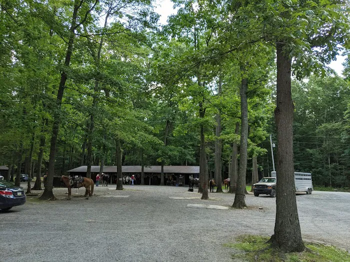 Cook Forest Scenic Trailride, Dude Ranch, and Campground Picture 8