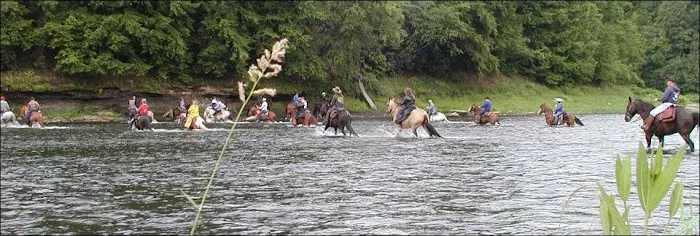 Cook Forest Scenic Trailride, Dude Ranch, and Campground Picture 9