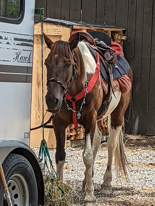 Cook Forest Scenic Trailride, Dude Ranch, and Campground Picture 7
