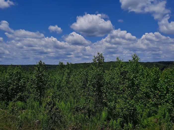 Cook Forest Scenic Trailride, Dude Ranch, and Campground Picture 4