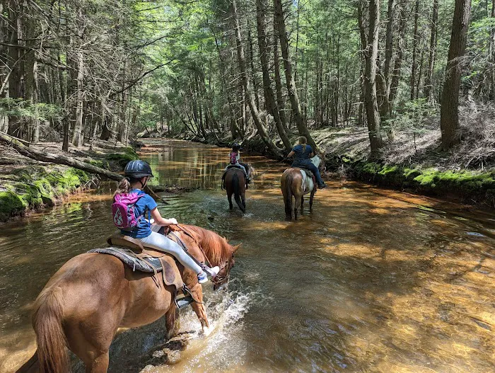 Cook Forest Scenic Trailride, Dude Ranch, and Campground Picture 6
