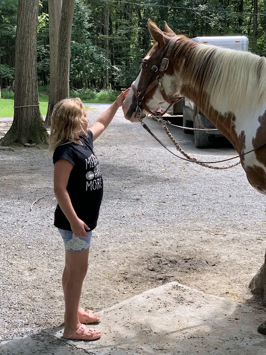 Cook Forest Scenic Trailride, Dude Ranch, and Campground Picture 3