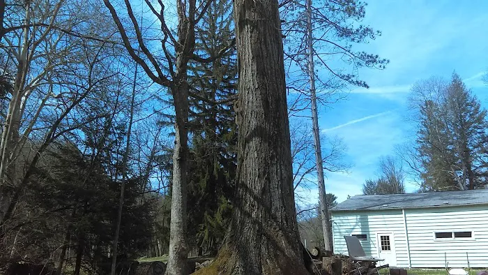 Maranatha Youth Ranch & Bible Picture 6