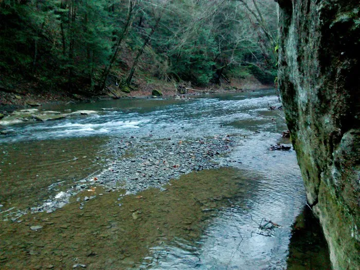 Maranatha Youth Ranch & Bible Picture 3