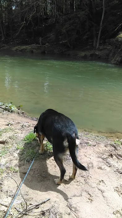 Maranatha Youth Ranch & Bible Picture 7