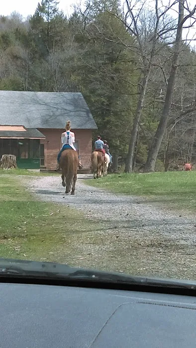 Maranatha Youth Ranch & Bible Picture 9