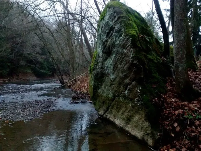 Maranatha Youth Ranch & Bible Picture 2