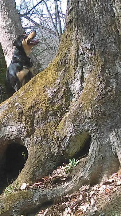 Maranatha Youth Ranch & Bible Picture 8