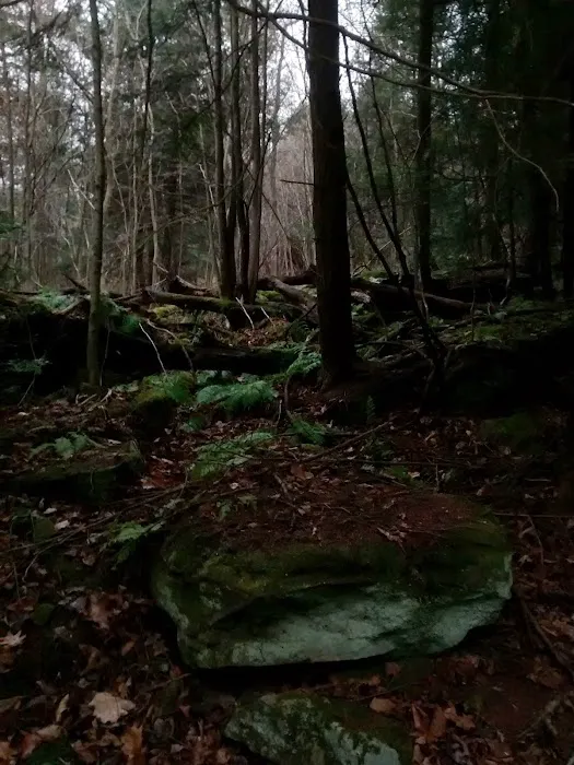 Maranatha Youth Ranch & Bible Picture 1