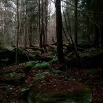 Maranatha Youth Ranch & Bible