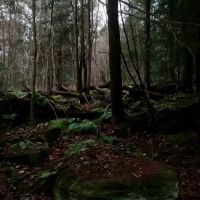 Maranatha Youth Ranch & Bible ico