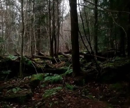 Maranatha Youth Ranch & Bible