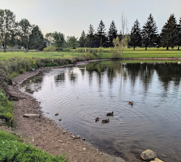 Wolfs Camping Resort Picture 9