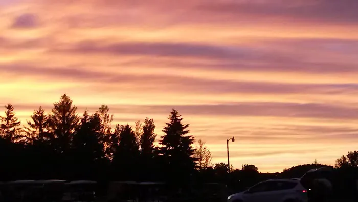 Wolfs Camping Resort Picture 1