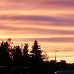 Wolfs Camping Resort