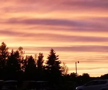 Wolfs Camping Resort