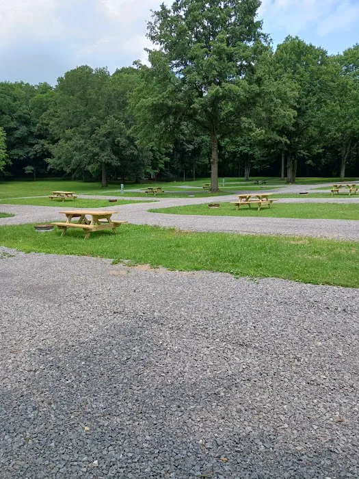 Quiet Acres Camping Picture 6