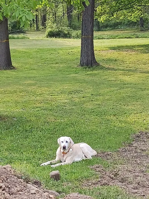 Quiet Acres Camping Picture 7