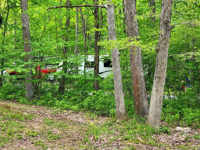 Laurel Hill State Park Campground Picture 6