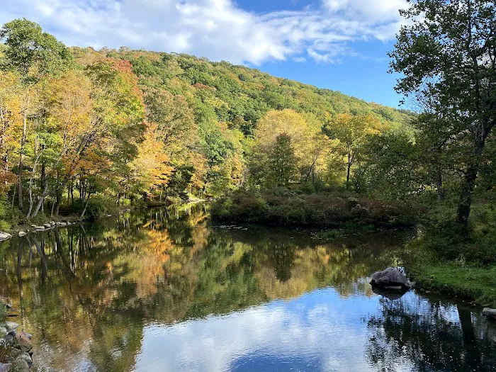Laurel Hill State Park Campground Picture 7