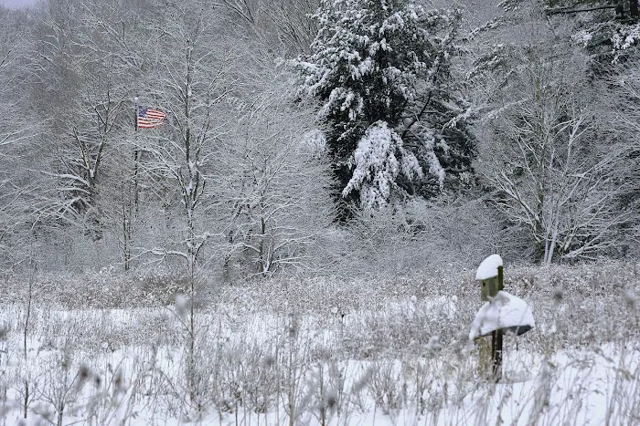 Laurel Hill State Park Campground Picture 2