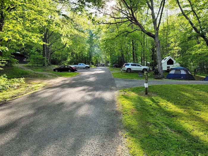 Laurel Hill State Park Campground Picture 5