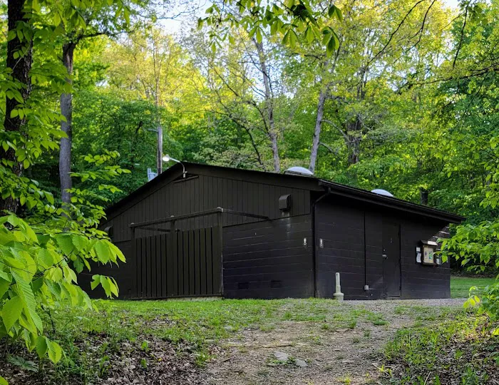 Laurel Hill State Park Campground Picture 4