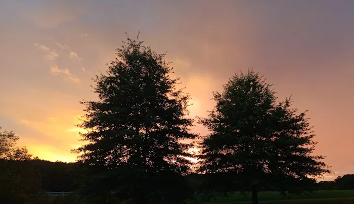 Hickory Hollow Campground Picture 3