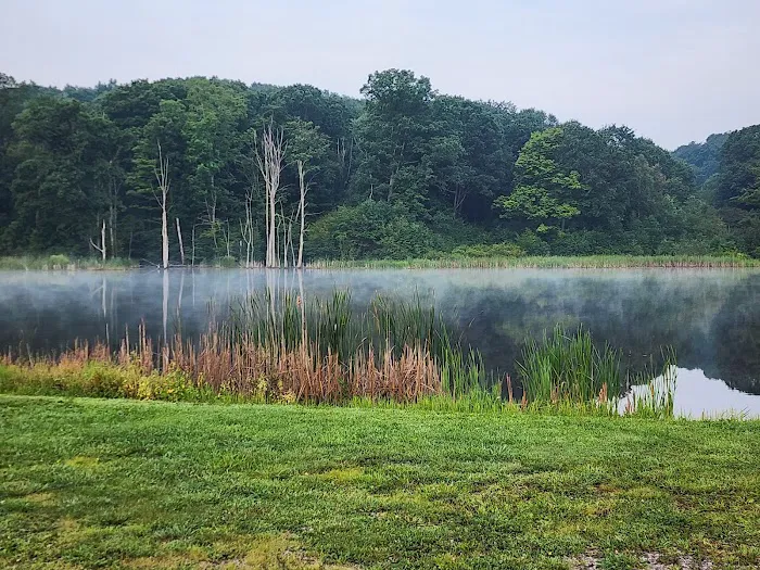 Hickory Hollow Campground Picture 2