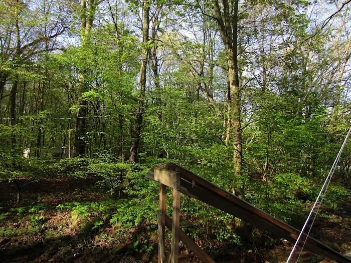 Posey Corners Campground Picture 5