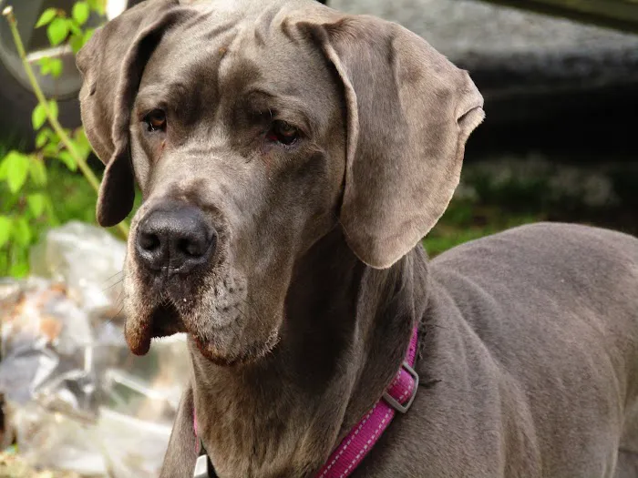 Posey Corners Campground Picture 1