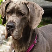 Posey Corners Campground ico