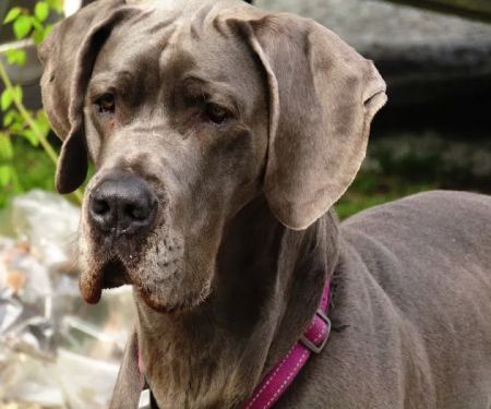 Posey Corners Campground