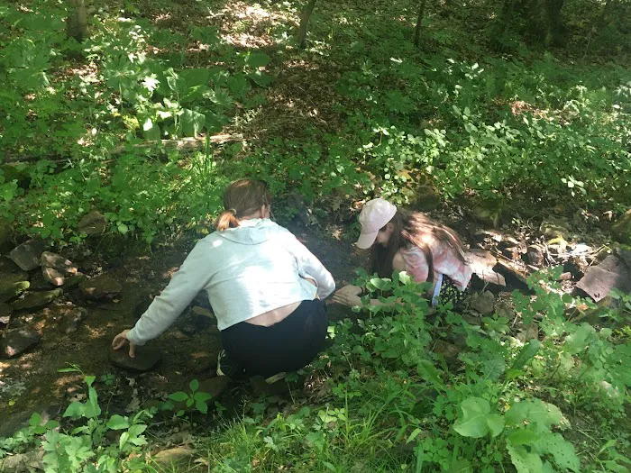 Posey Corners Campground Picture 6