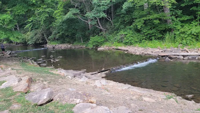 Mountain Pines Campground Picture 3