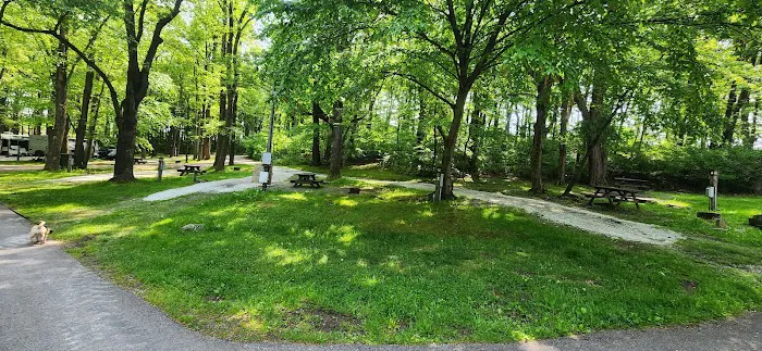 Donegal Campground Picture 3