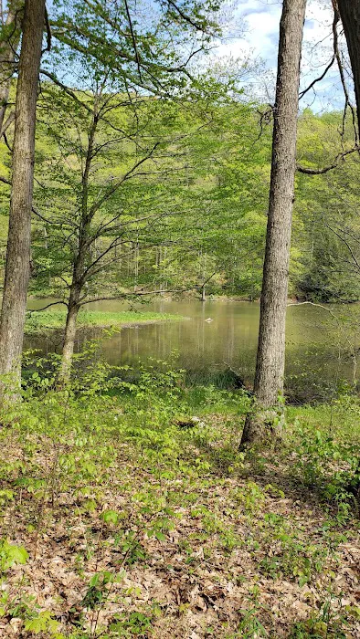 Donegal Campground Picture 8