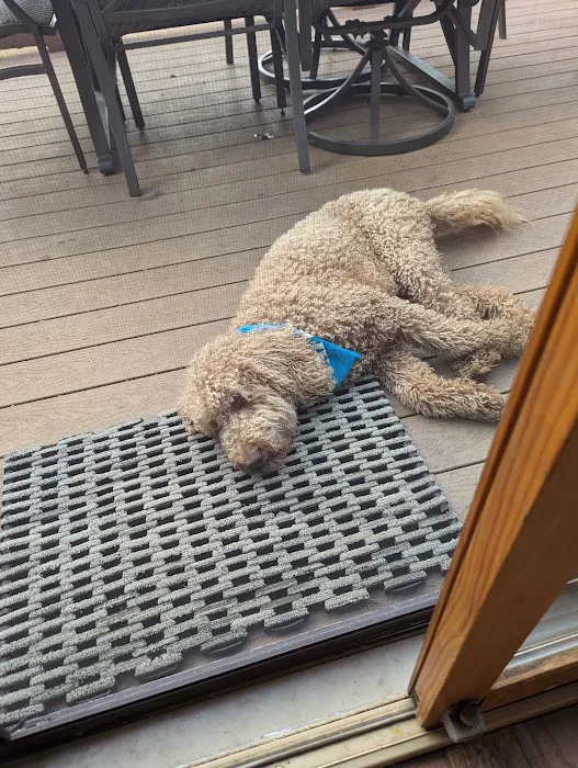 Lake glen haven Picture 2