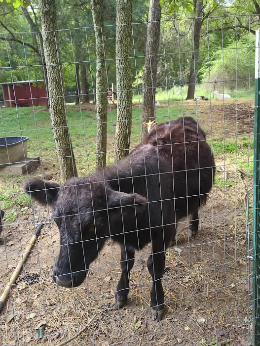 Lake glen haven Picture 7