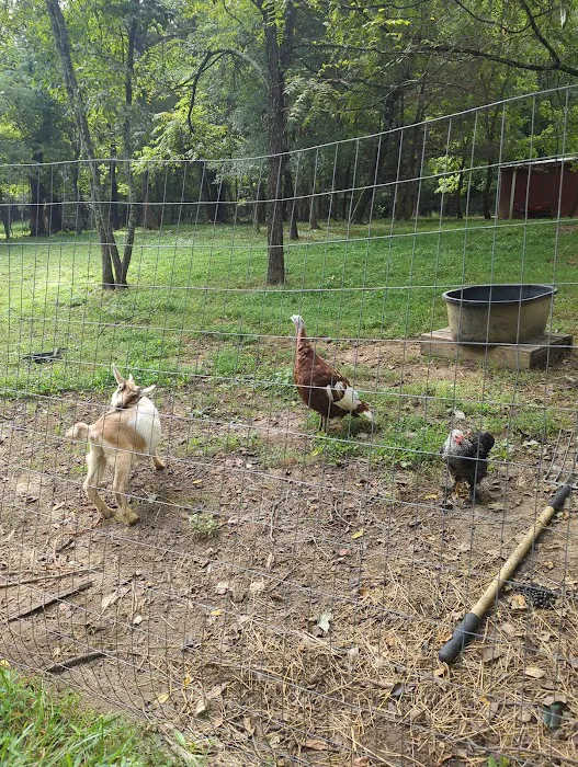 Lake glen haven Picture 10