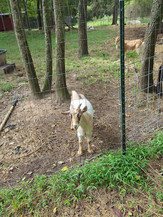 Lake glen haven Picture 4