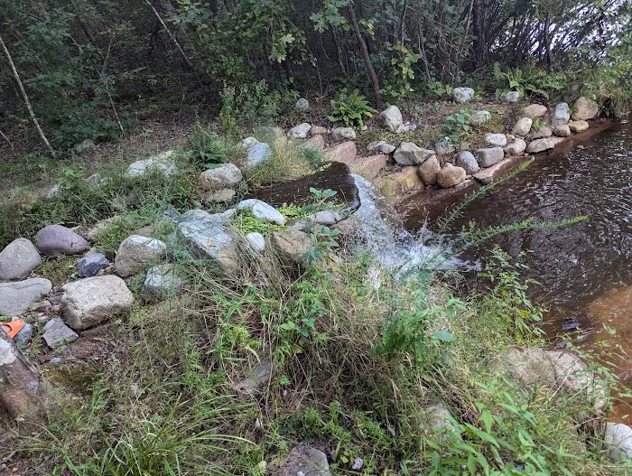 Lake glen haven Picture 6