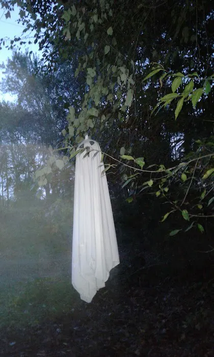 Cedar Mountain Campground Picture 1