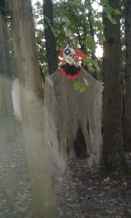 Cedar Mountain Campground Picture 5