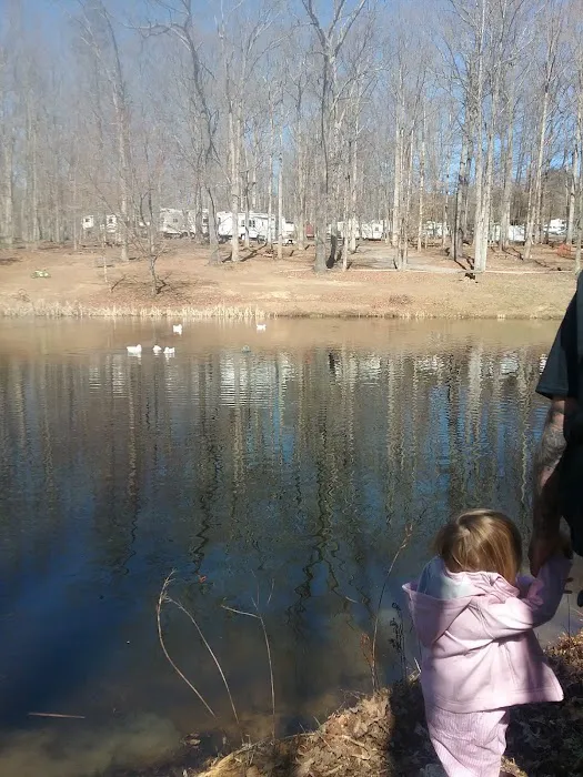 Cedar Mountain Campground Picture 8