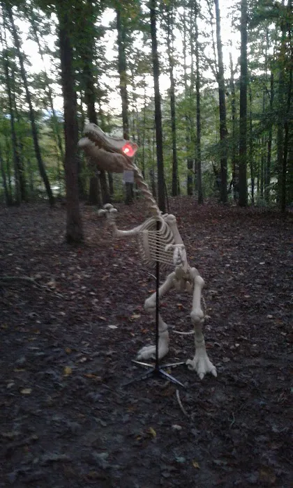 Cedar Mountain Campground Picture 3